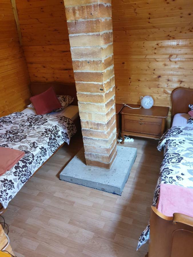 Вилла Casa Ada Arpasu de Sus Экстерьер фото